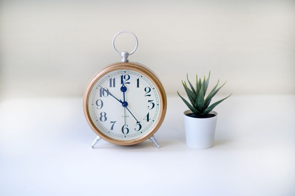 Nature morte élégante d'une horloge en bois et d'une plante succulente sur fond blanc